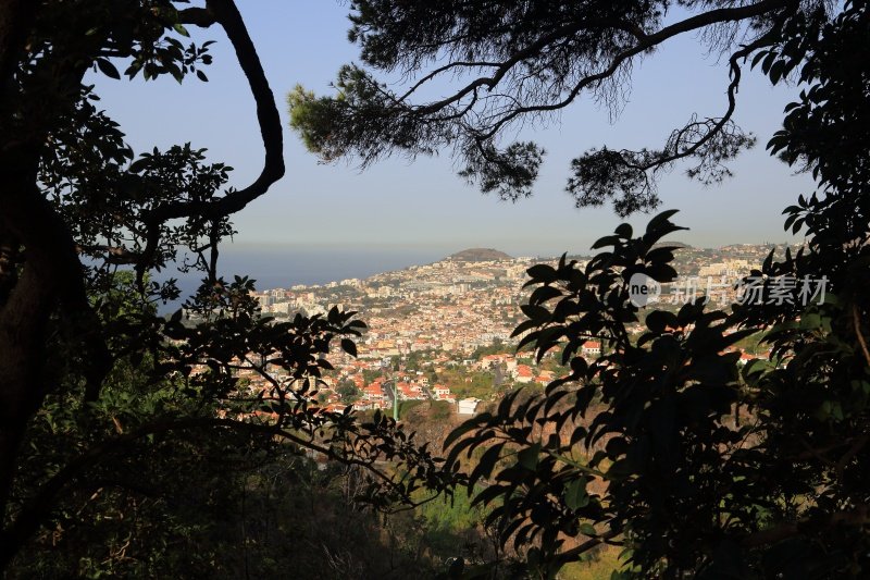 Funchal -马德拉